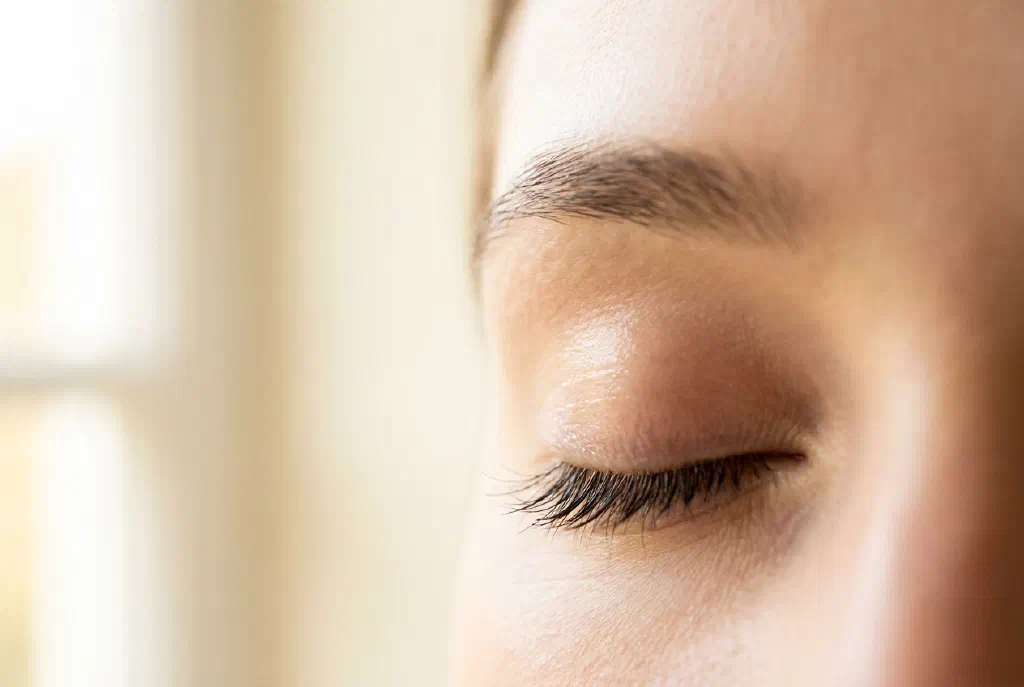 Gepflegte, glänzende Wimpern mit sanftem Schwung nach einer Lash-Botox-Pflegekur
