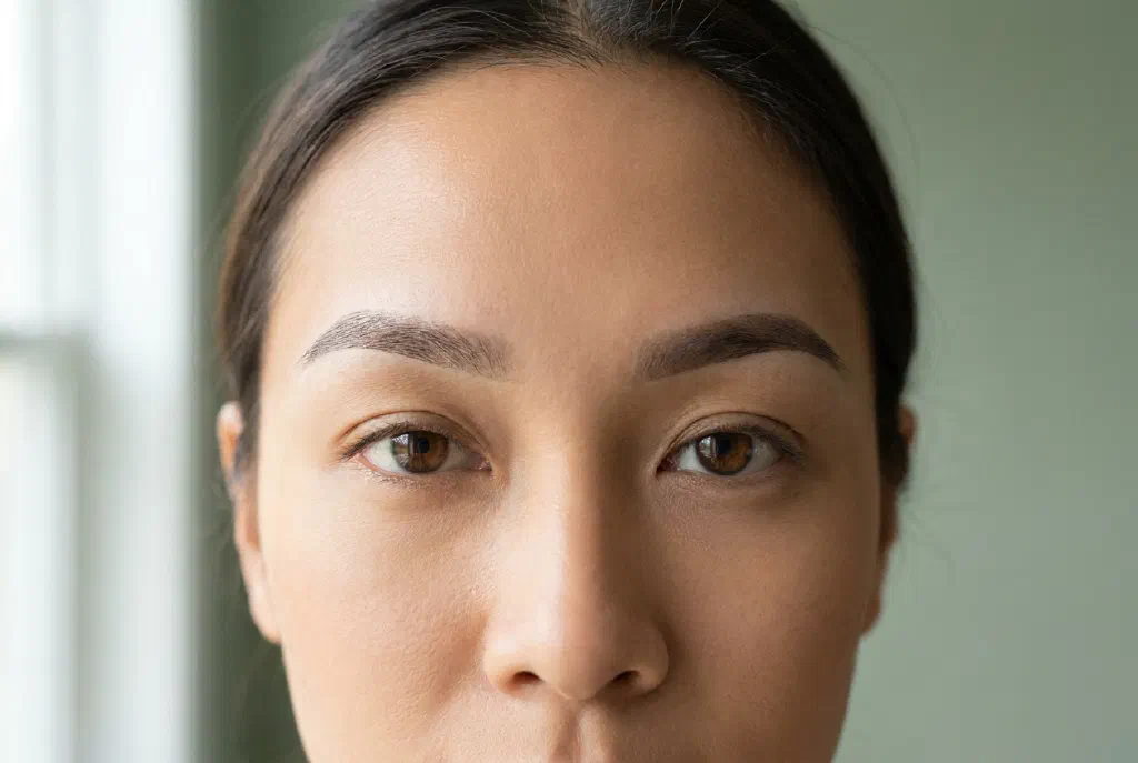 Eyebrows after a powder brows treatment with a soft powdery gradient